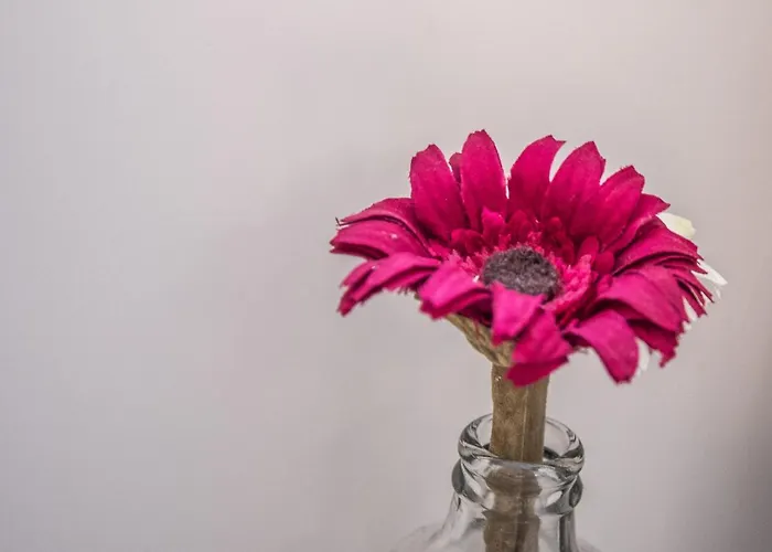 La Bajamar 公寓 加的斯